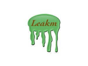leakm.com