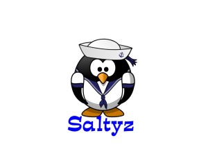 saltyz.com